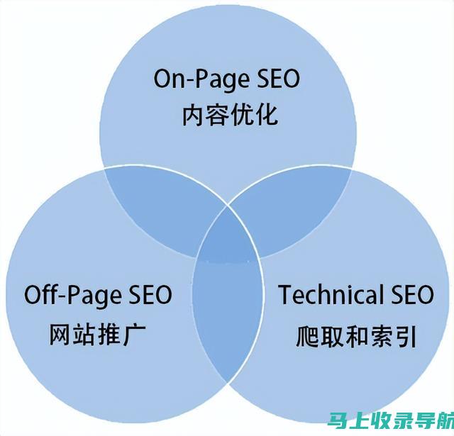 SEO新手入门完全指南：原理、技巧、实践讲解