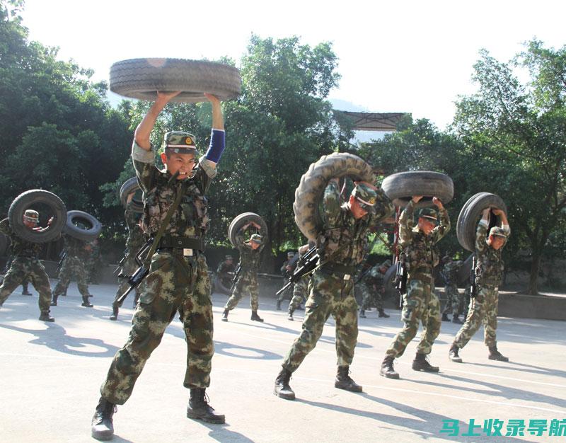 实战演练：站长申论学习的三个关键阶段